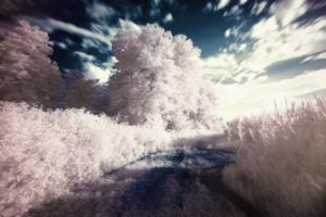 dream-filter-infrared-surreal