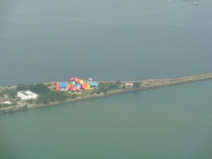 biomuseo2red